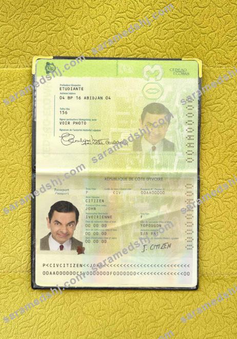 Cote D'lvoire passport photo look